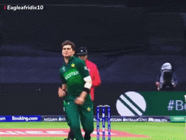 Brisbane Heat Bbl GIF