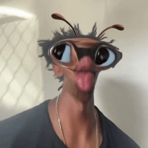 Instagram Terrance GIF