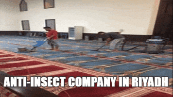 alaamiahclean #anti-insect company in riyadh GIF