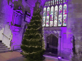 Christmas Tree GIF by hackmans
