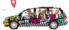 Dog Day Cat Sticker by WHERE TO PET ?