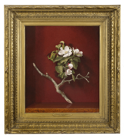 Still Life Flowers GIF by New-York Historical Society