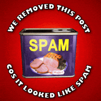 spam-we-removed-this-post-because-it-looked-like-GobVvg5mhhSOWr7BN7