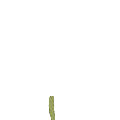 Flower Growing Sticker