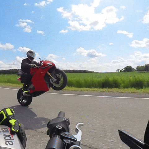 Motorcycle Mona Gif By Memes And gif