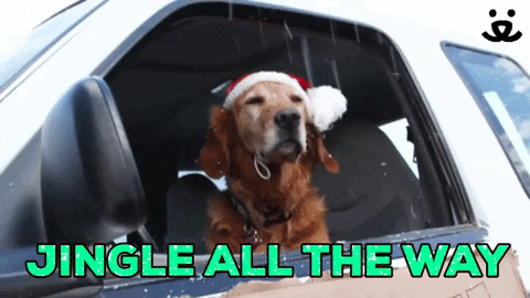 Save Them All Merry Christmas GIF by Best Friends Animal Society - Find & Share on GIPHY