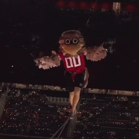Atlanta Falcons Nfl Mascot GIF