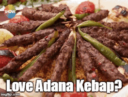 adanailsiniri GIF
