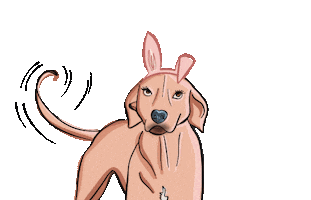 Dog Sticker