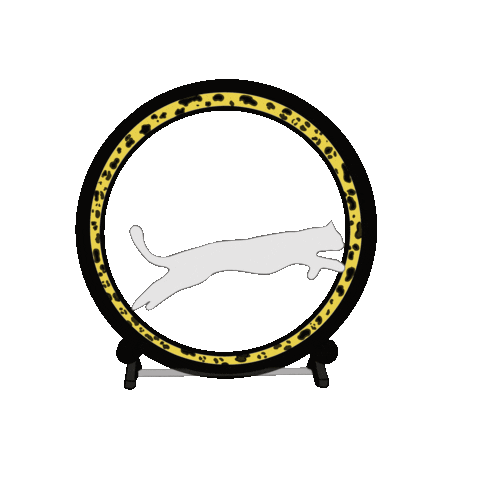 K9 Ballistics | One Fast Cat Sticker
