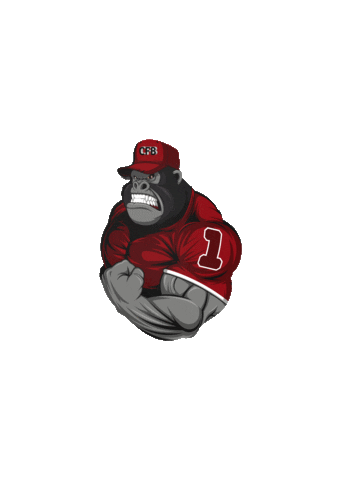 Back Street Cross Fit Sticker by Crossfit Backstreet