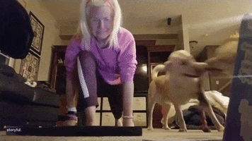 Dogs Yoga GIF by Storyful