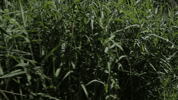 welcometothefuture  GIF