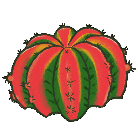 Cactus Sticker