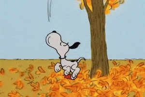 its the great pumpkin charlie brown fall GIF by Peanuts