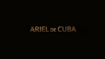 Reggaeton Artista GIF by Ariel de Cuba