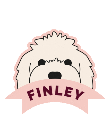 Mrfinley Sticker by rebeccahaydon