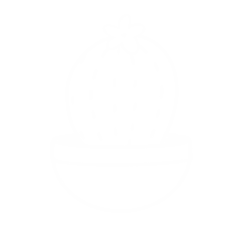 Plants Cactus Sticker
