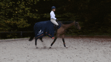 Anna Klose GIF