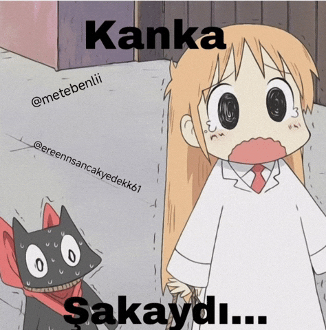 Animee GIF