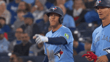 Blue Jays Baseball GIF by Toronto Blue Jays