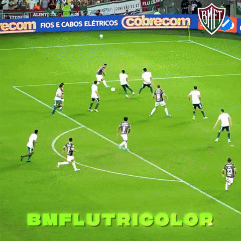 Fluminense GIF
