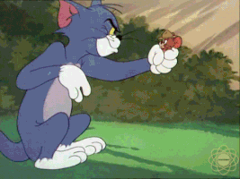 tom and jerry cat GIF