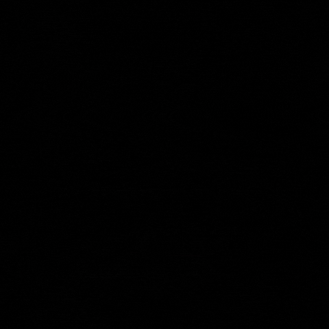 Jogidiiibeen GIF