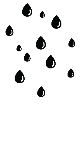 Papamoa Plumbing & Gas Sticker