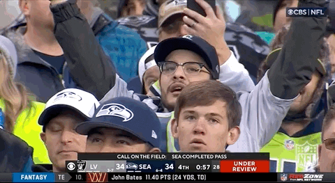 Seattle Seahawks What GIF by NFL