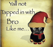 Bro Gif GIF