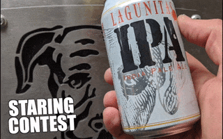 Beer Cheers GIF by Lagunitas Brewing Company