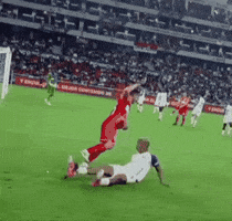 Liga Deyverson GIF
