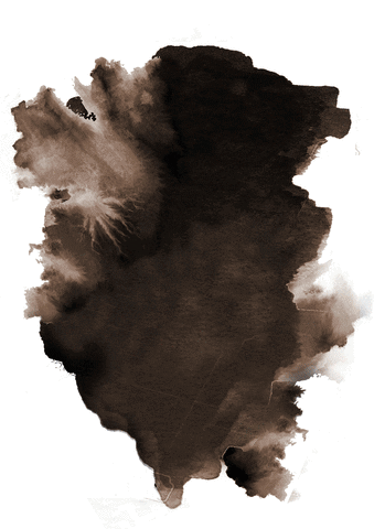 carlosvalentinhernandez  GIF