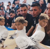 Akm Miyiz GIF