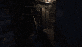 S2 GIF