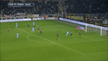FLC  GIF