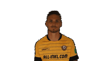 Goal Celebrate Sticker by SG Dynamo Dresden