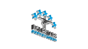 Polestars Dancestudio Sticker