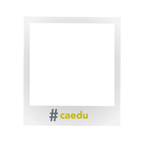 Caedu Moda Sticker