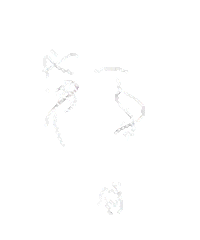 Ricked Sticker