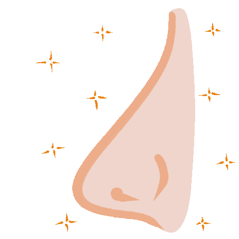 Orelha Sticker