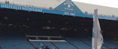 Stadium Owls GIF by Sheffield Wednesday Football Club