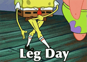 Leg Day GIF by memecandy