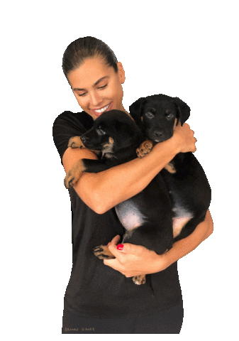 CAARE Rescue Sticker