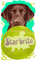 Labrador Retriever Dog GIF by Star brite