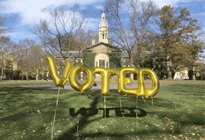 Election 2020 Vote100 GIF by Princeton University