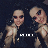 Catmom Furbaby Mybaby Rebel GIF