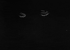 sad black and white GIF