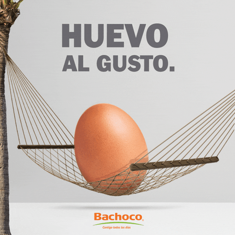 BachocoMX relax egg creatividad billboard GIF